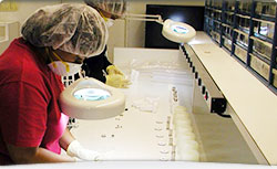Contract Assembly Services