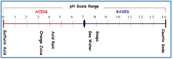 pH Scale Range